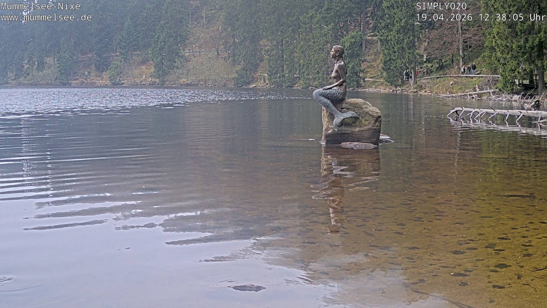 Archived image Webcam Lake Mummelsee - Black Forest