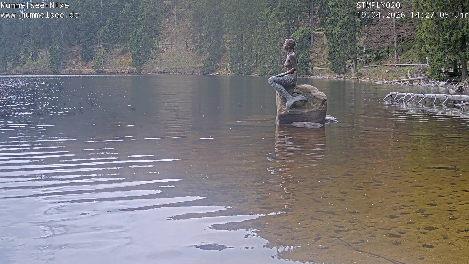 Archiv Foto Webcam Ufer Mummelsee