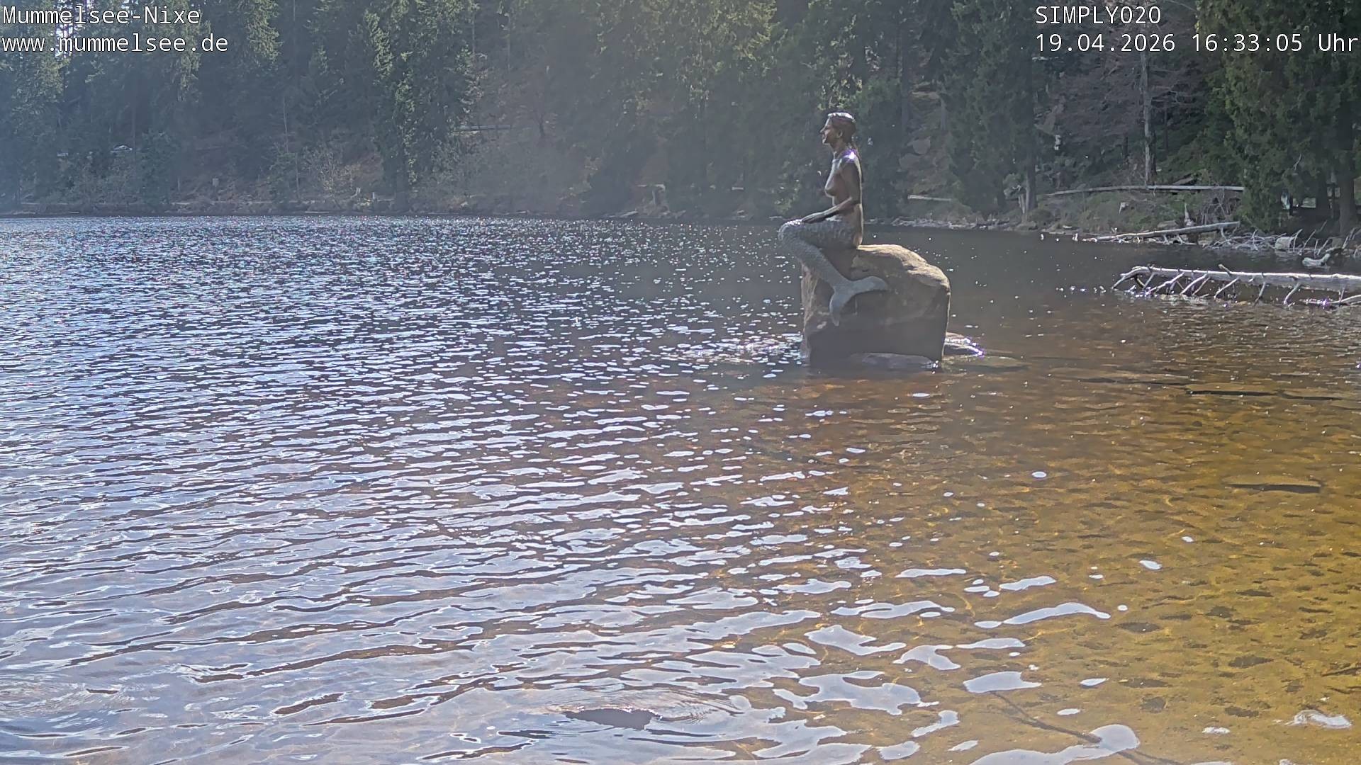 Archiv Foto Webcam Ufer Mummelsee
