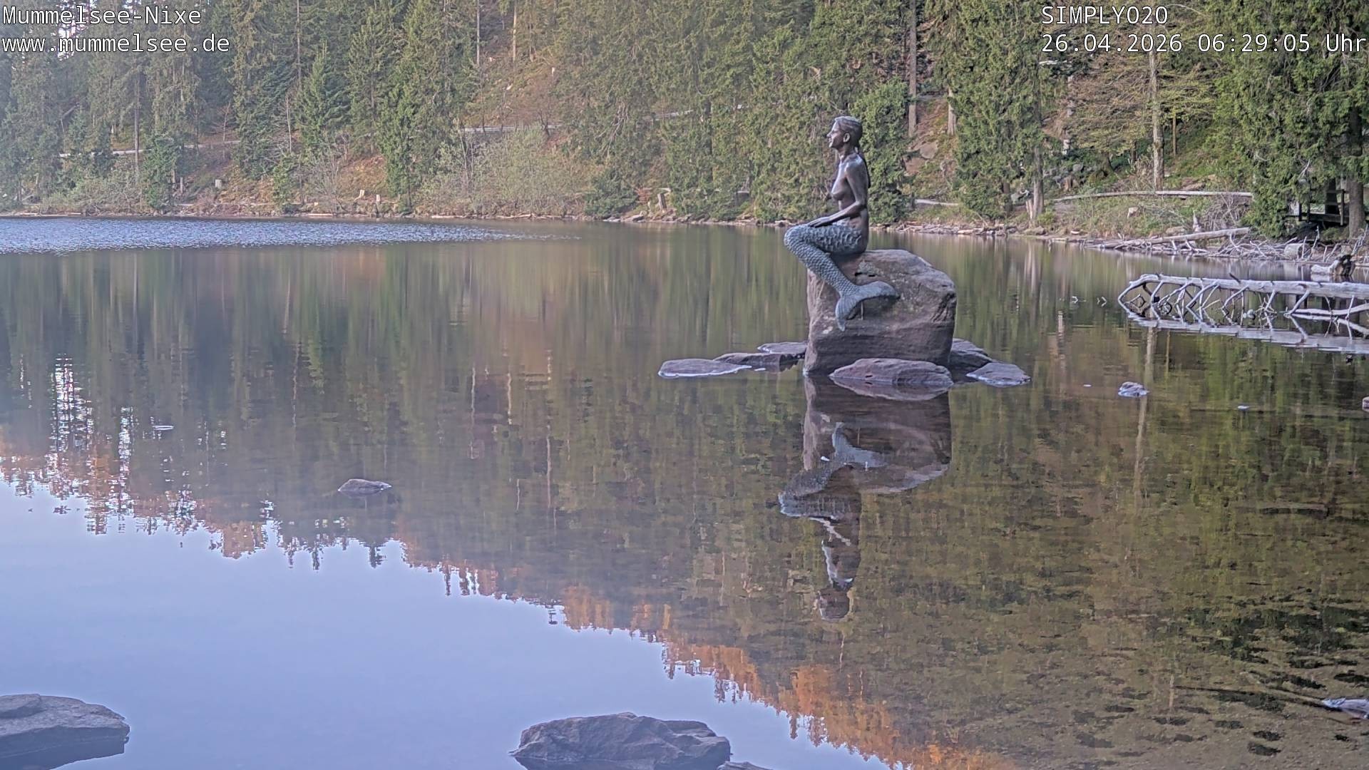 Archiv Foto Webcam Ufer Mummelsee