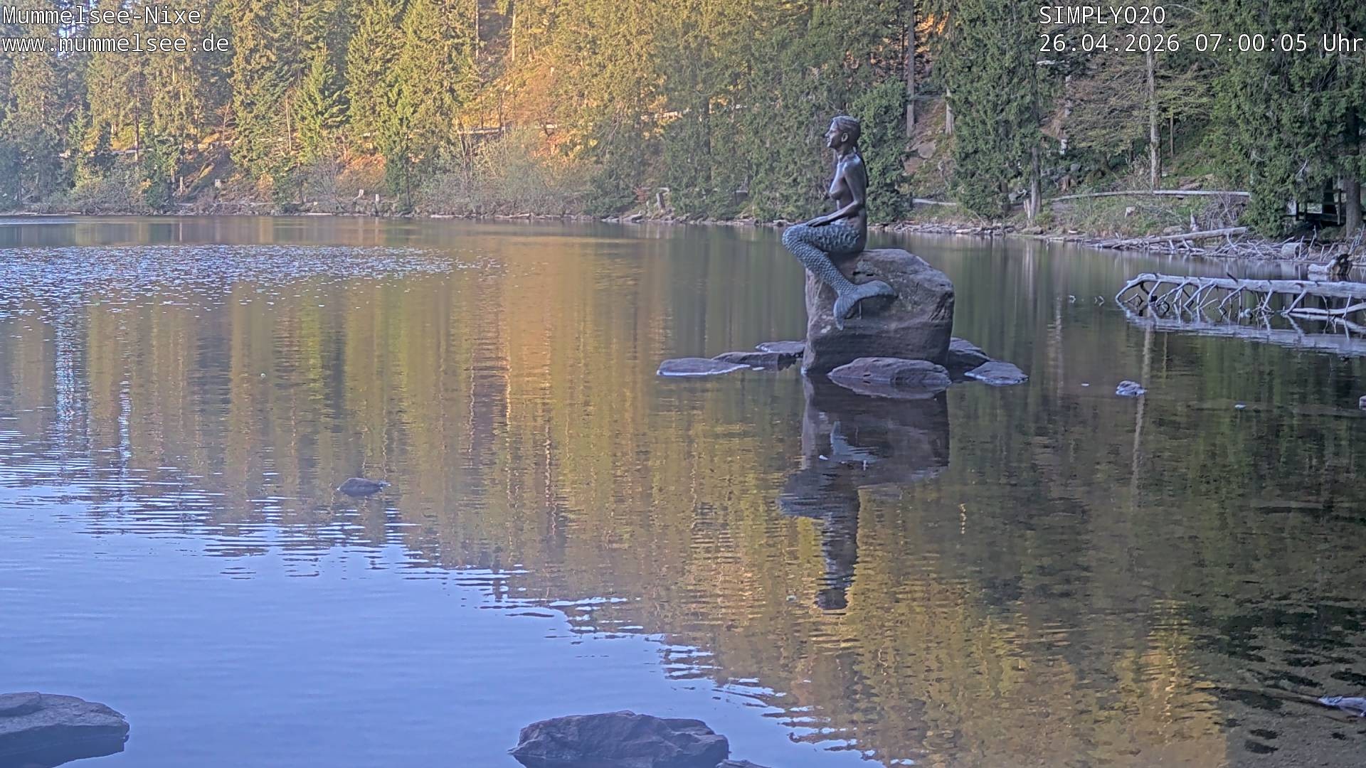 Archiv Foto Webcam Ufer Mummelsee