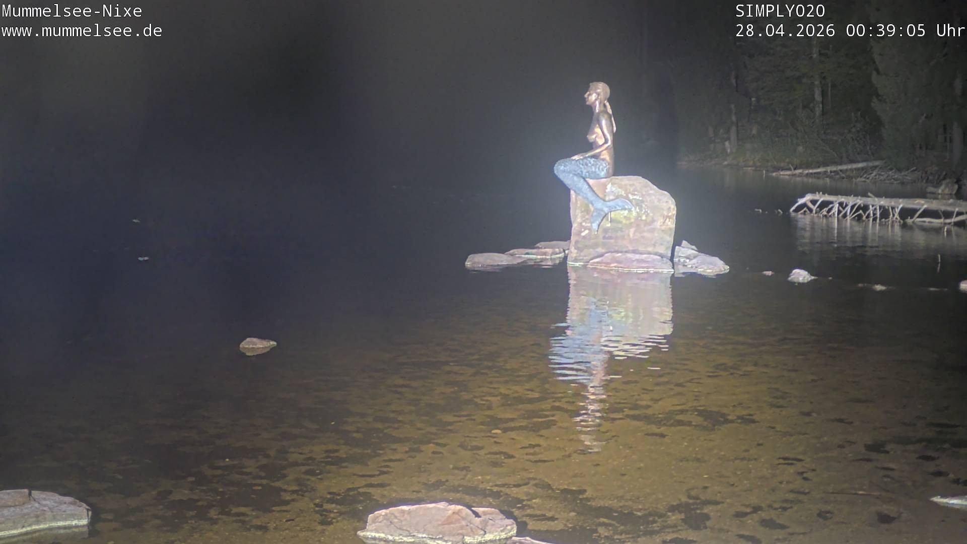 Archiv Foto Webcam Ufer Mummelsee