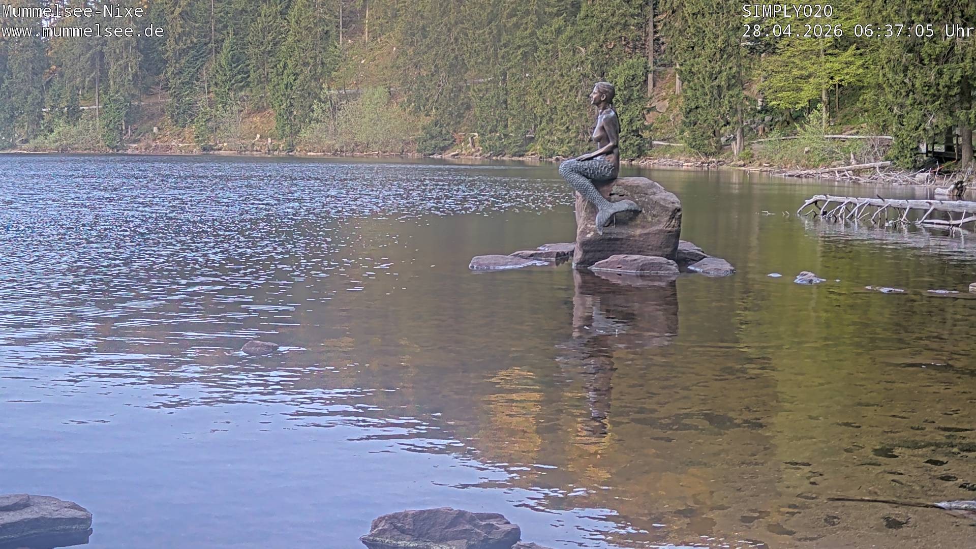 Archiv Foto Webcam Ufer Mummelsee