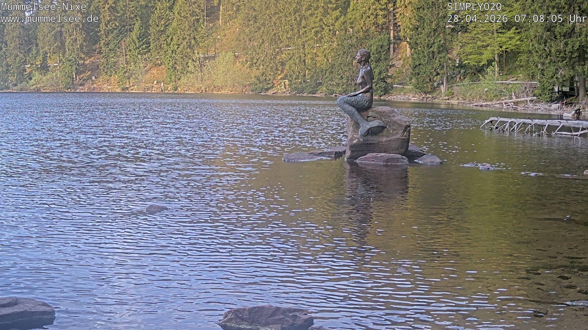 Archiv Foto Webcam Ufer Mummelsee