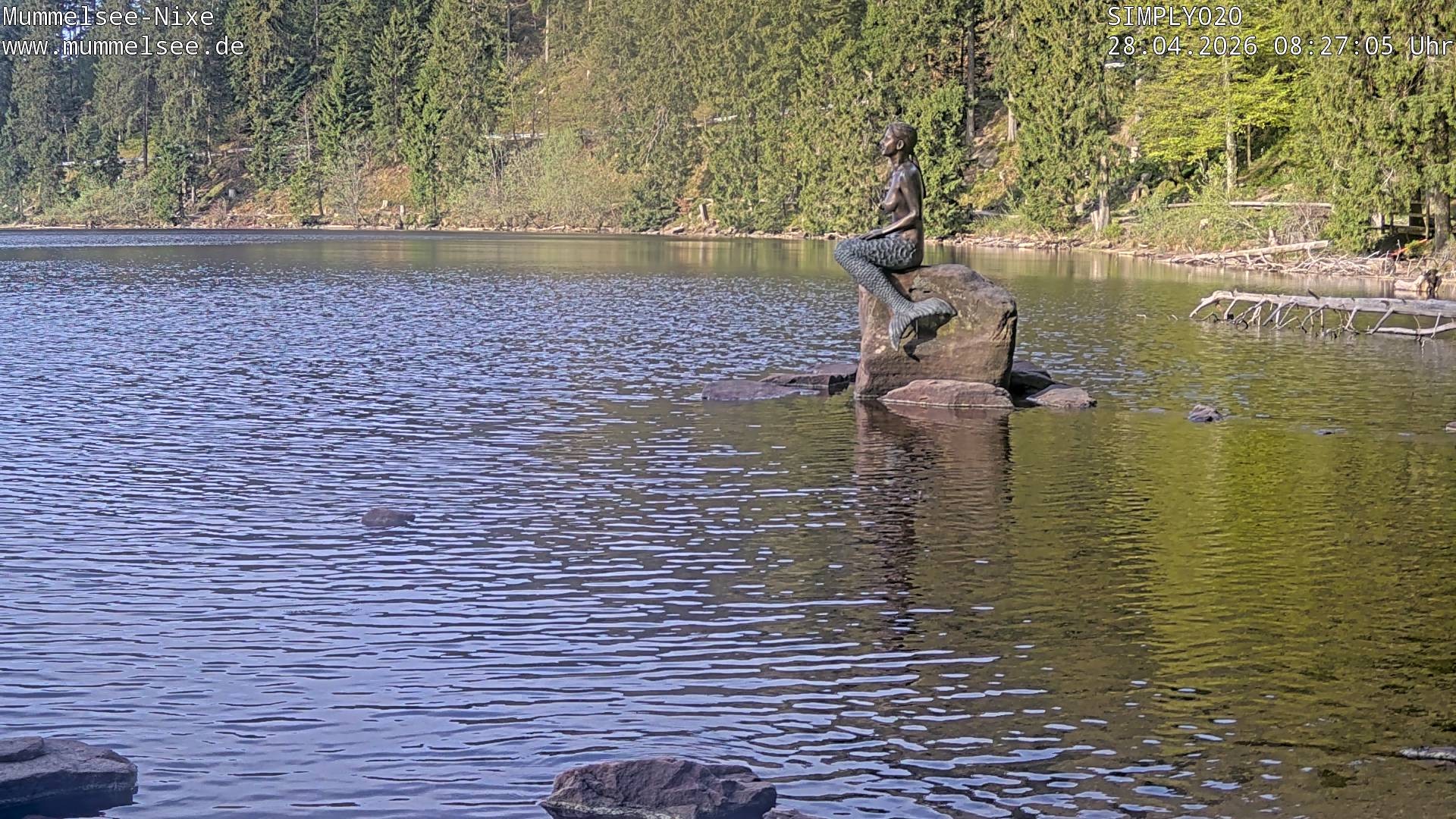 Archiv Foto Webcam Ufer Mummelsee