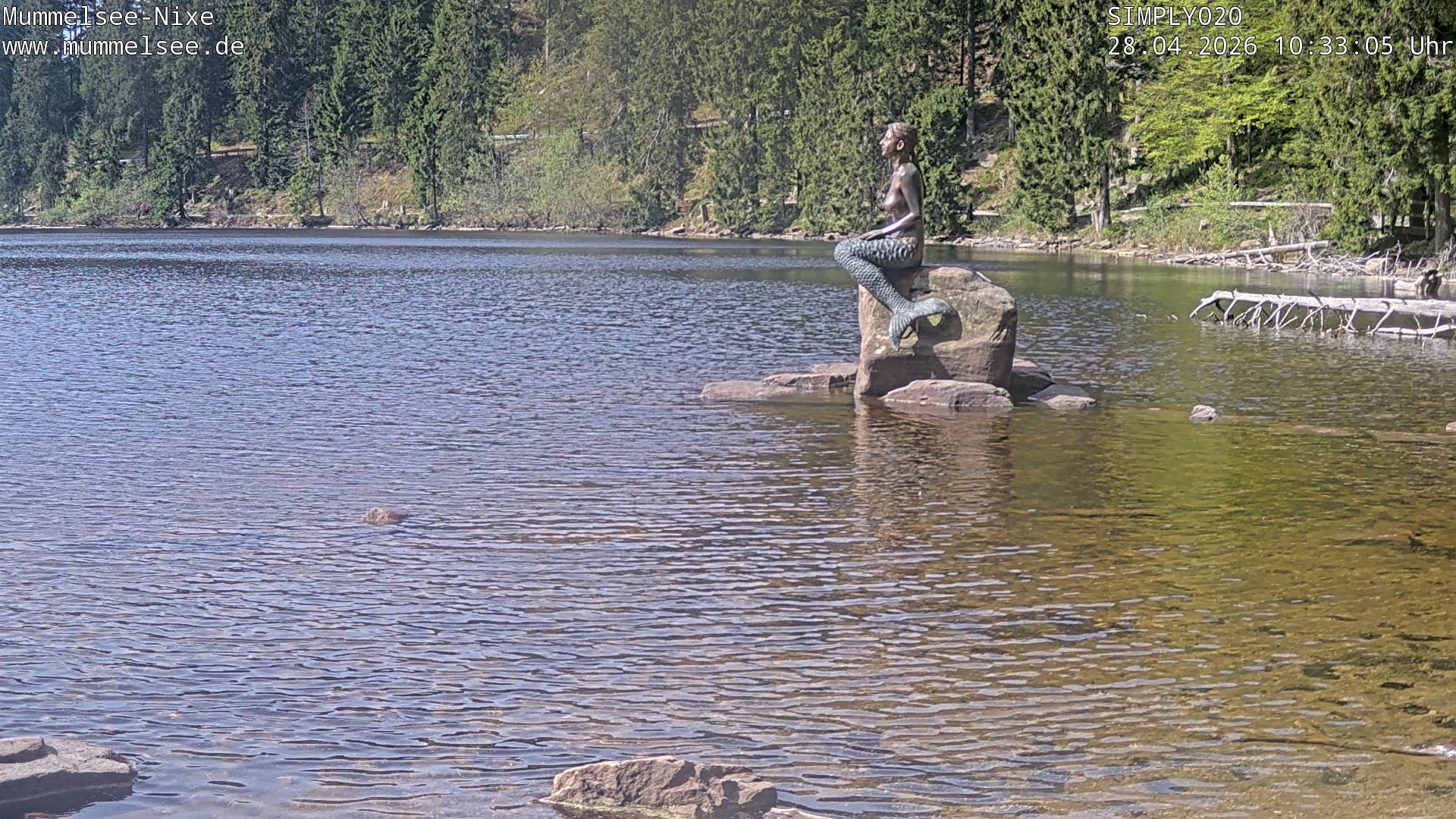 Archiv Foto Webcam Ufer Mummelsee