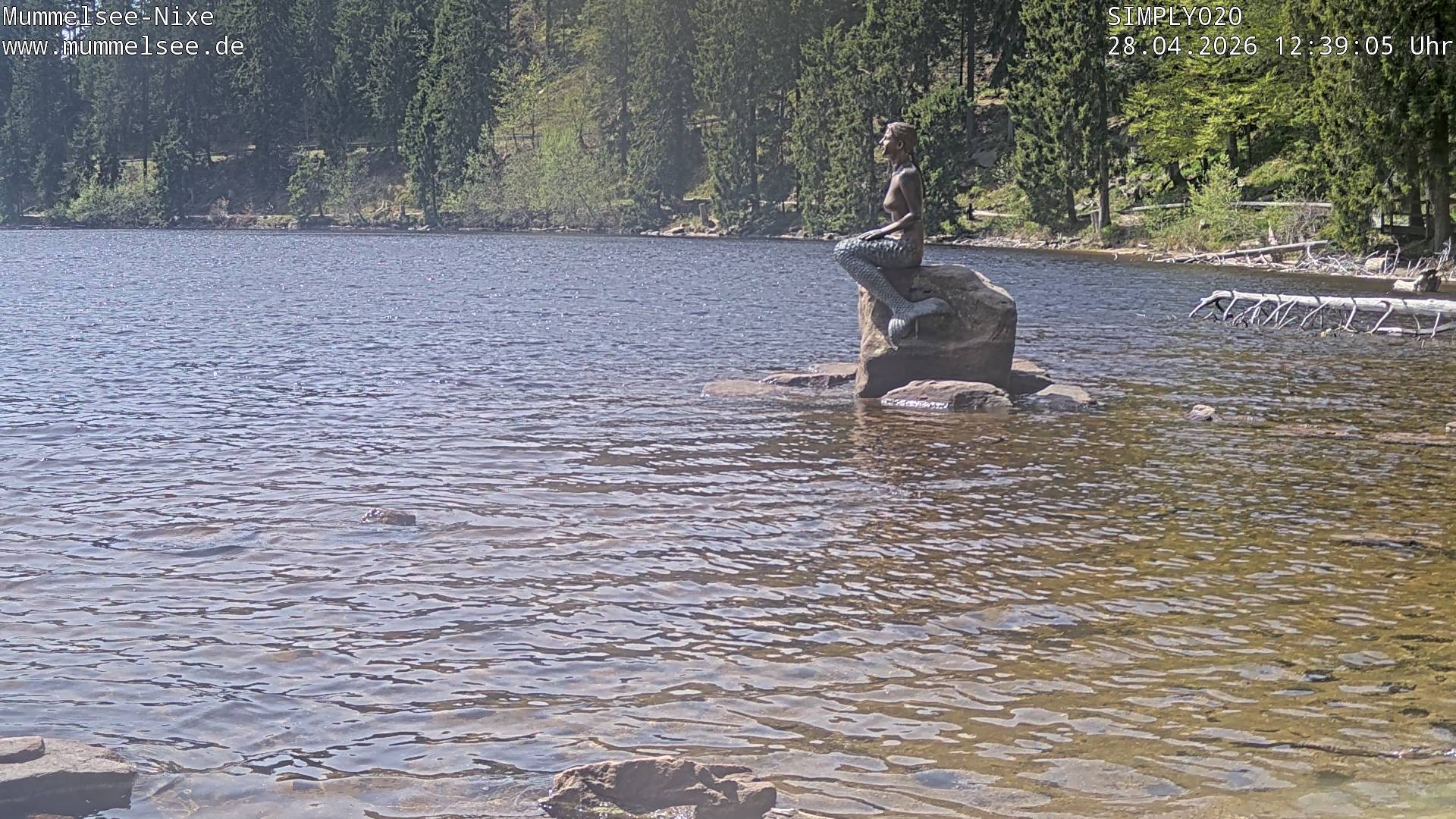 Archiv Foto Webcam Ufer Mummelsee