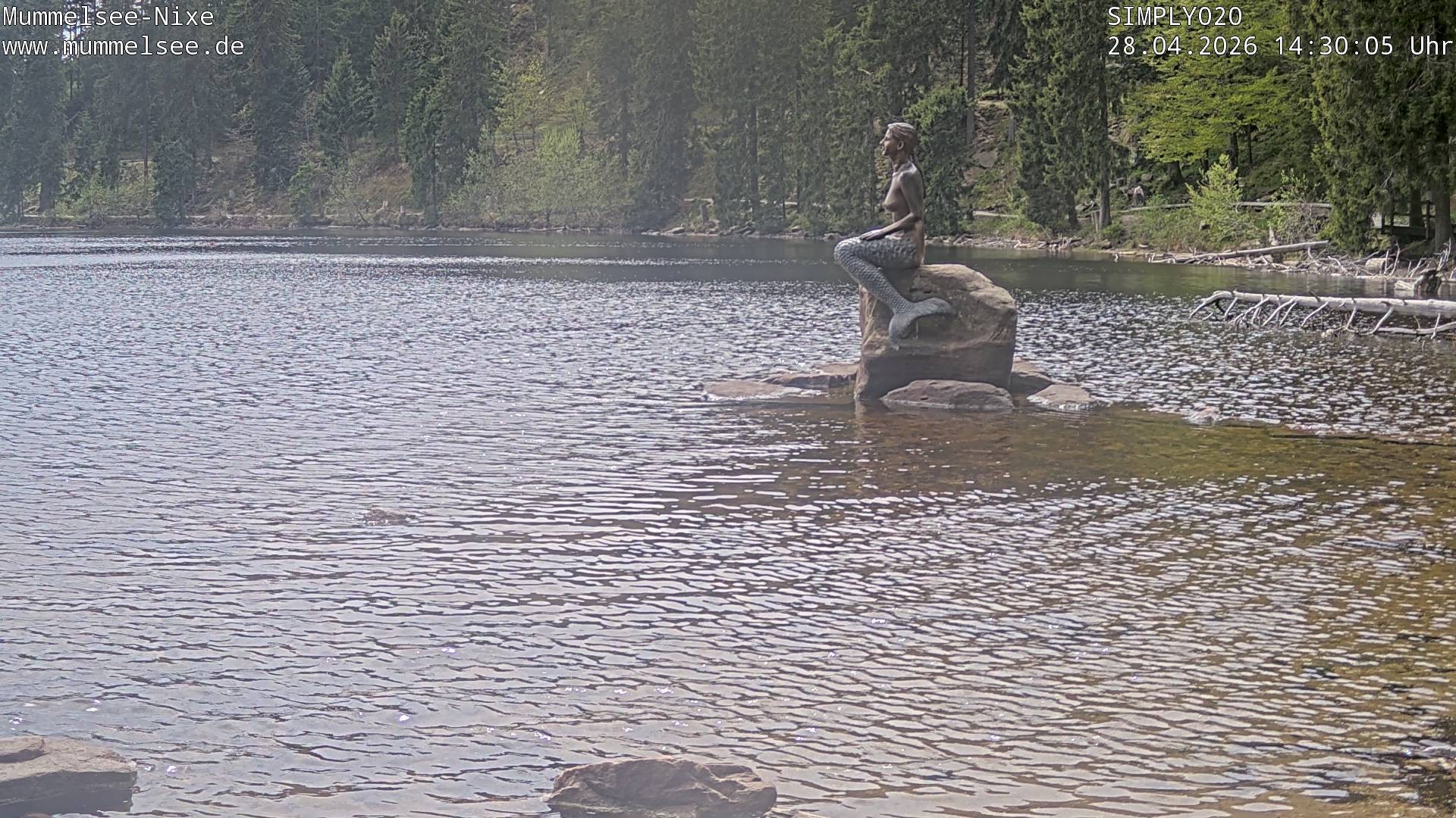 Archiv Foto Webcam Ufer Mummelsee