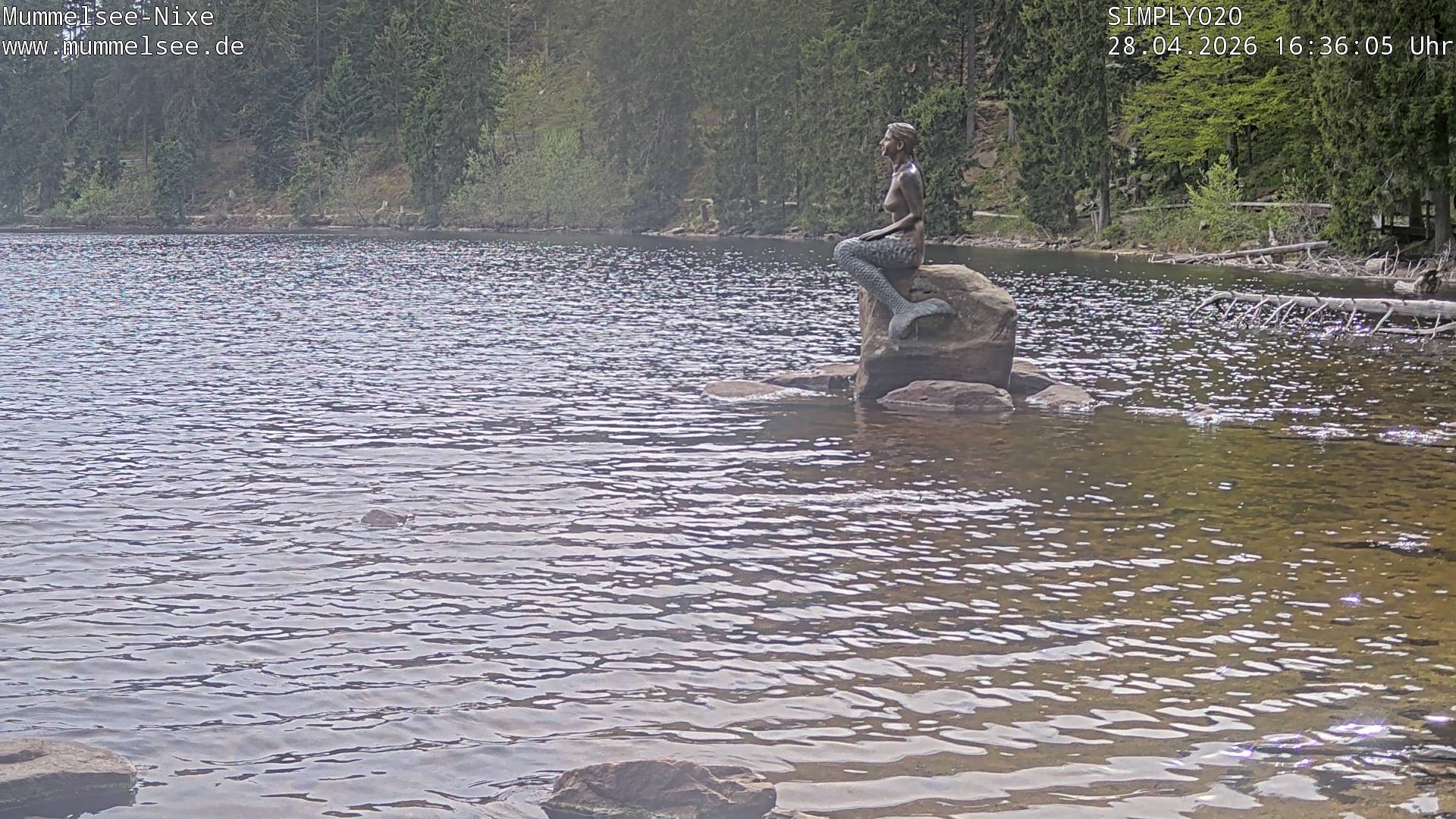 Archiv Foto Webcam Ufer Mummelsee