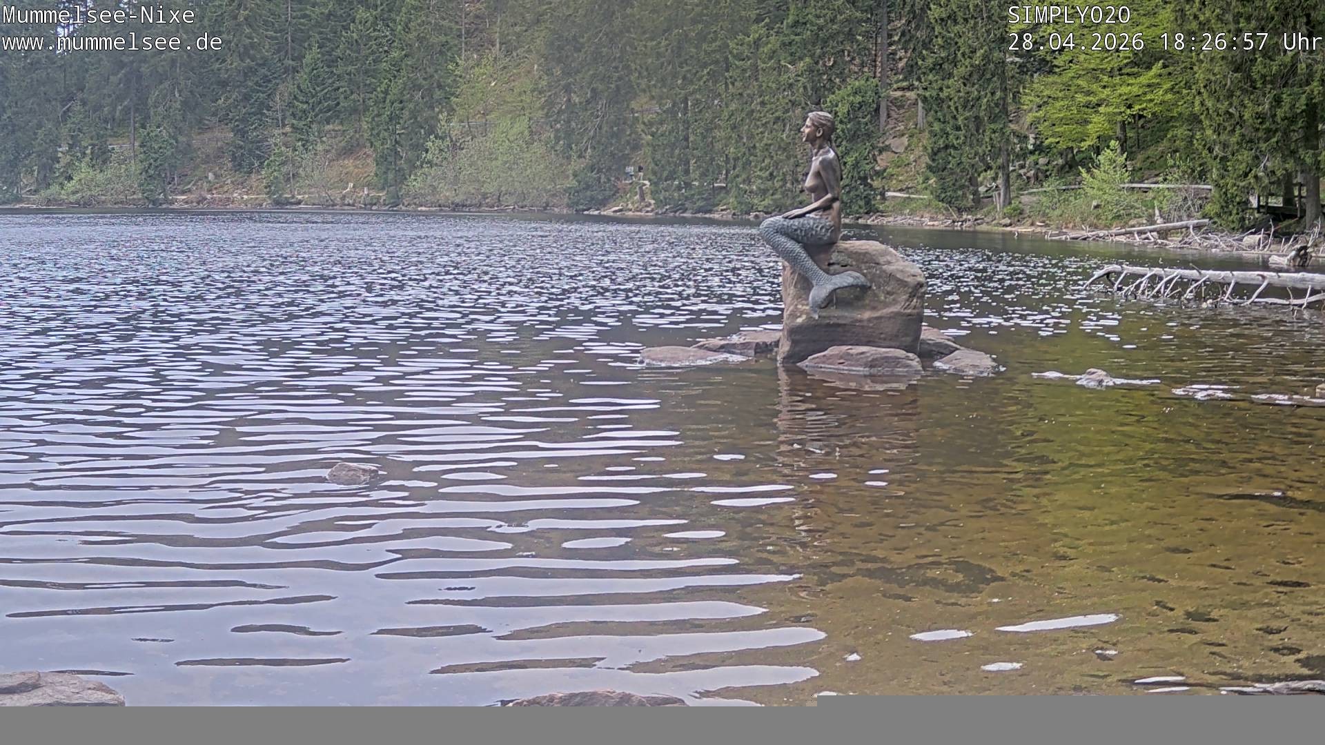 Archiv Foto Webcam Ufer Mummelsee