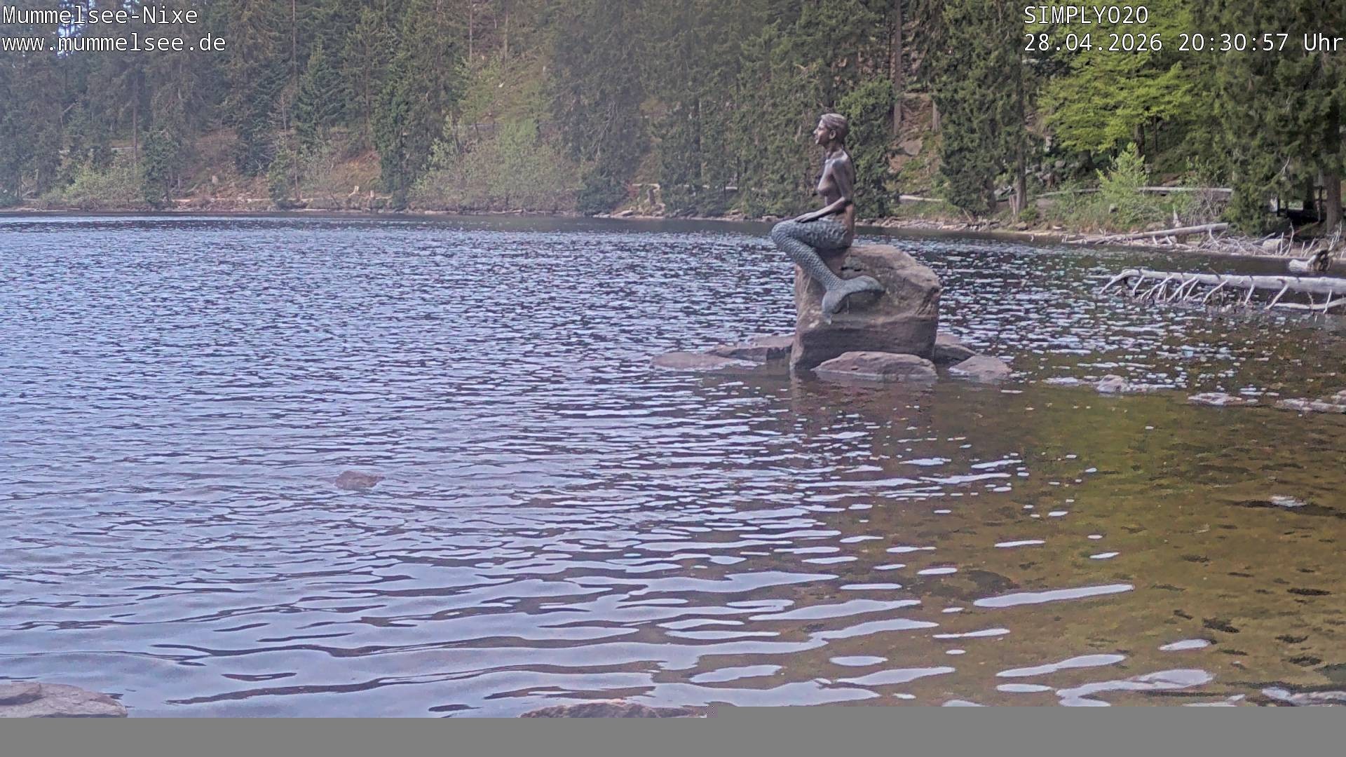 Archiv Foto Webcam Ufer Mummelsee