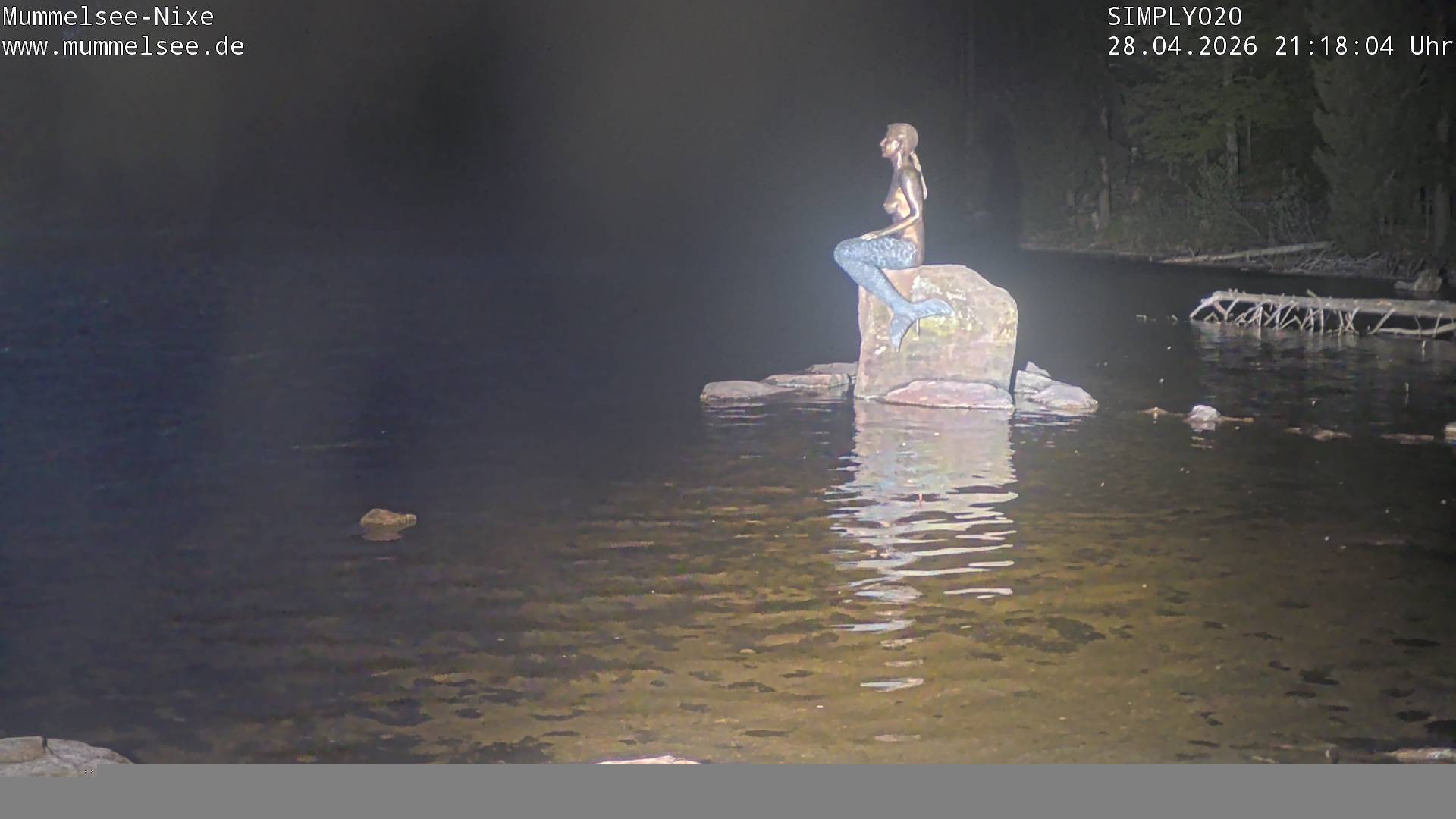 Archiv Foto Webcam Ufer Mummelsee