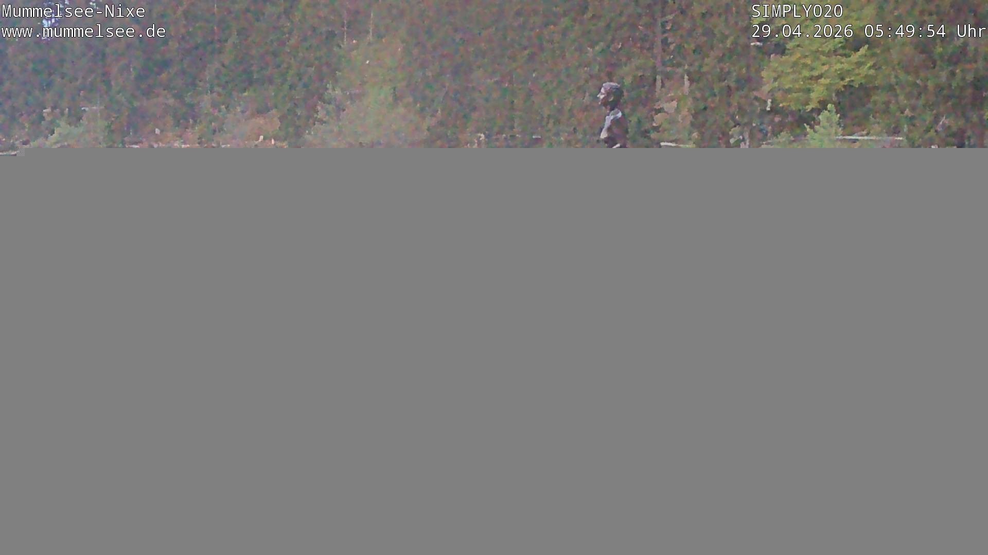 Archiv Foto Webcam Ufer Mummelsee