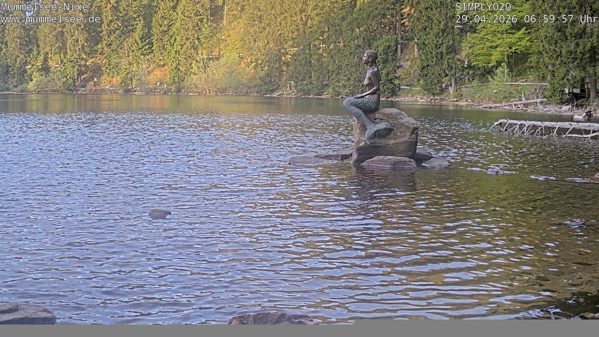 Archiv Foto Webcam Ufer Mummelsee