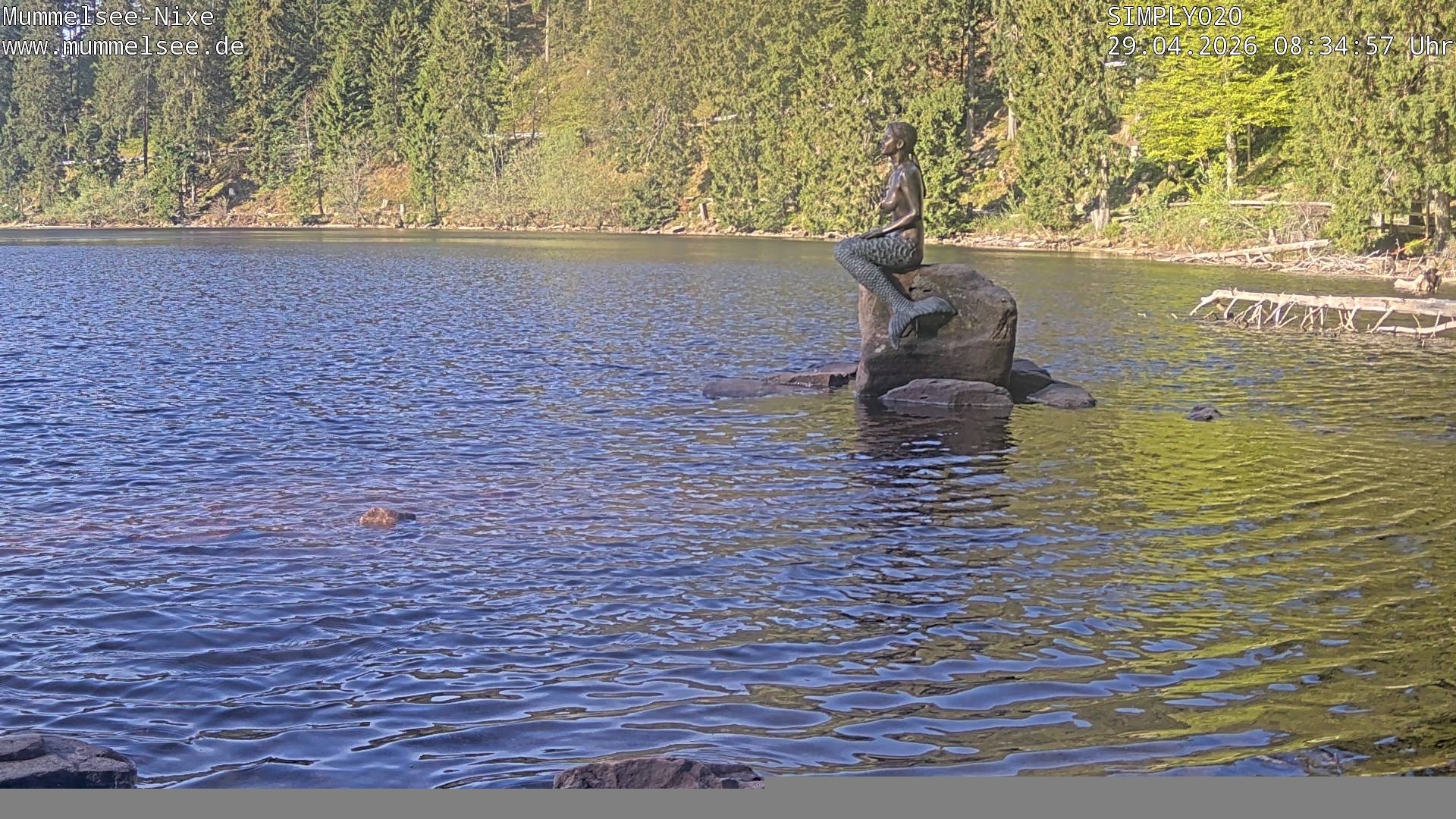 Archiv Foto Webcam Ufer Mummelsee