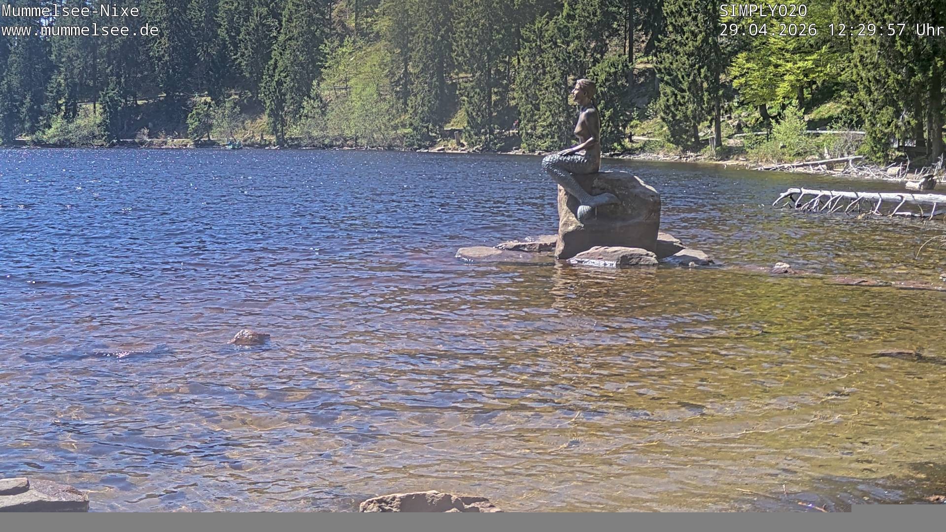 Archiv Foto Webcam Ufer Mummelsee