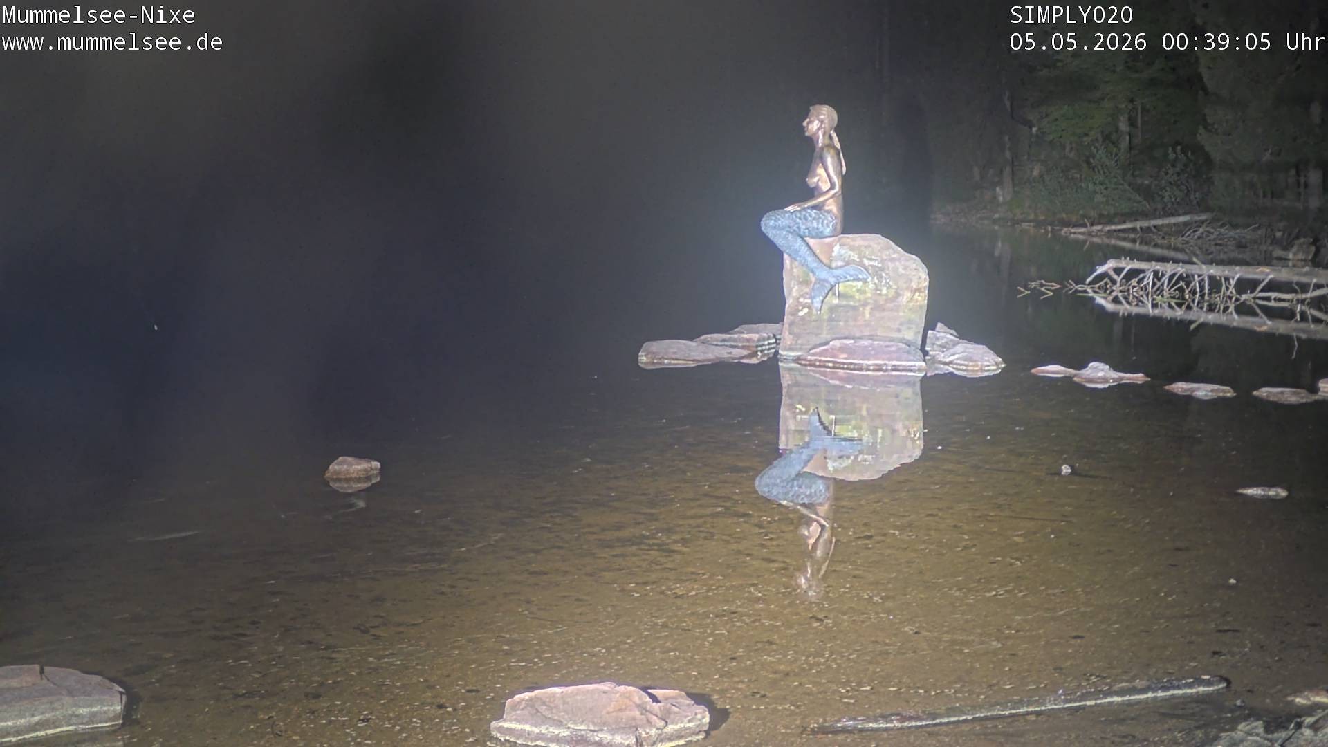 Archived image Webcam Lake Mummelsee - Black Forest
