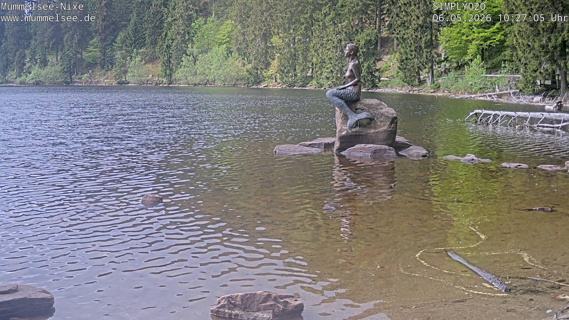 Archived image Webcam Lake Mummelsee - Black Forest