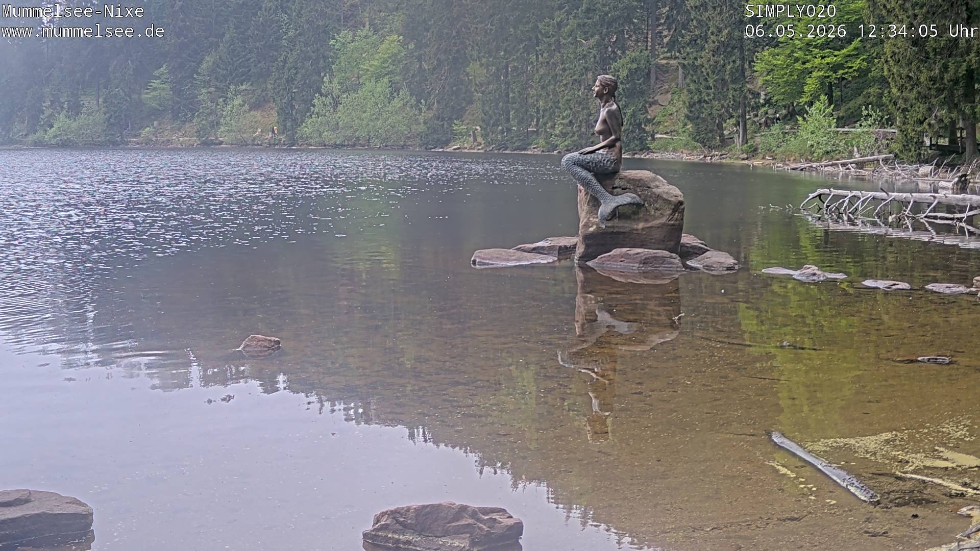 Archived image Webcam Lake Mummelsee - Black Forest