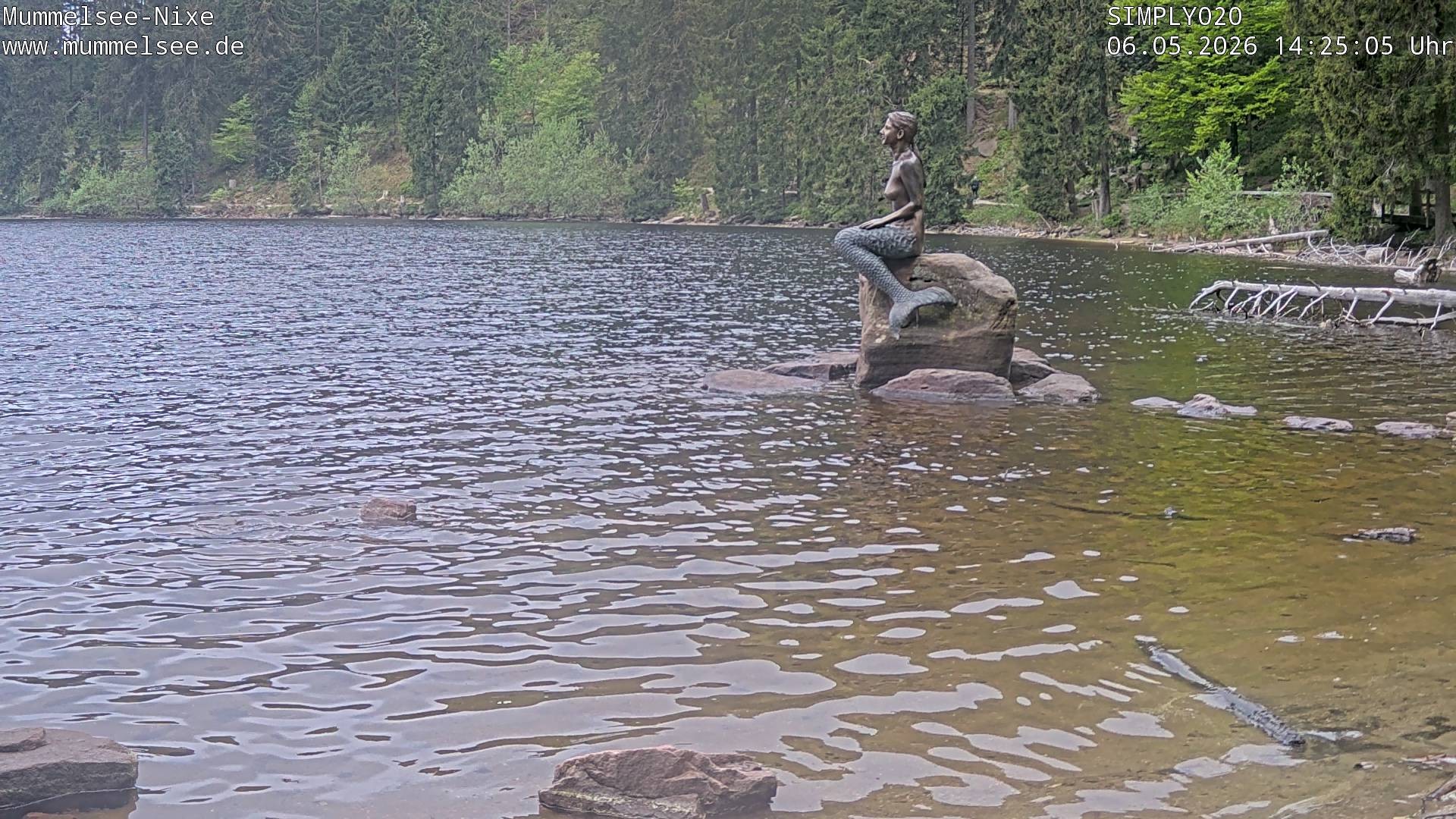 Archived image Webcam Lake Mummelsee - Black Forest
