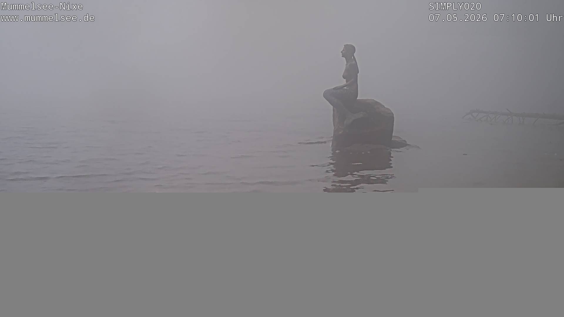 Archiv Foto Webcam Ufer Mummelsee