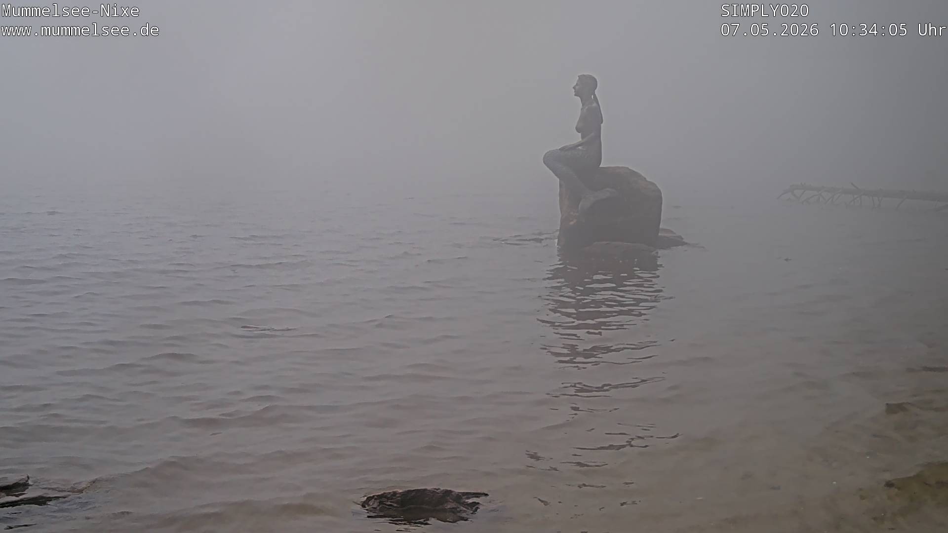 Archiv Foto Webcam Ufer Mummelsee