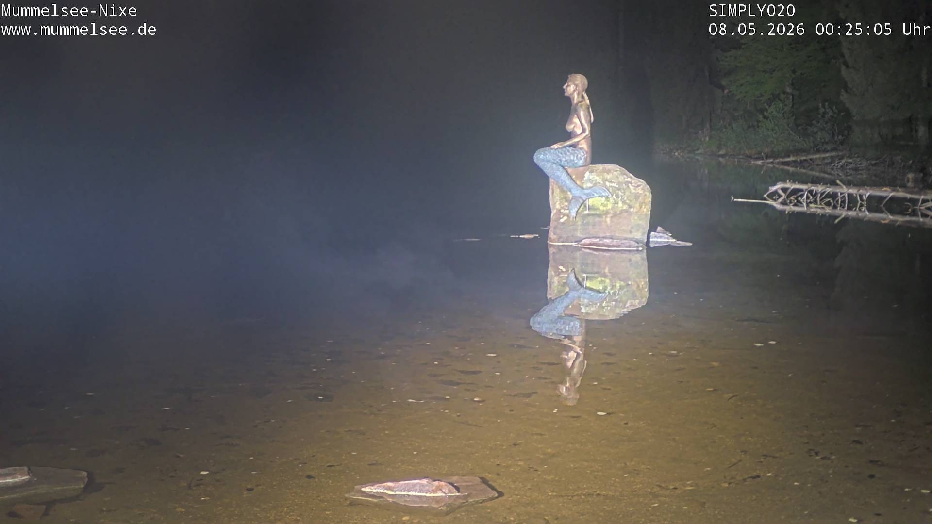 Archived image Webcam Lake Mummelsee - Black Forest