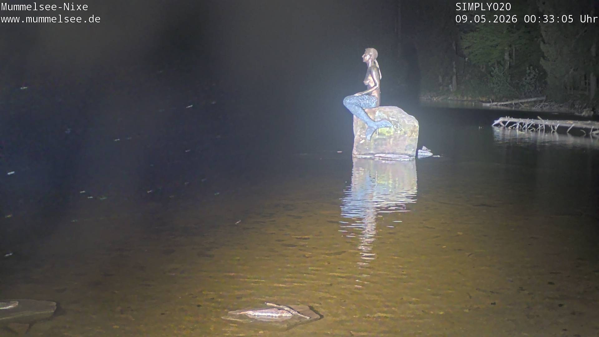 Archiv Foto Webcam Ufer Mummelsee
