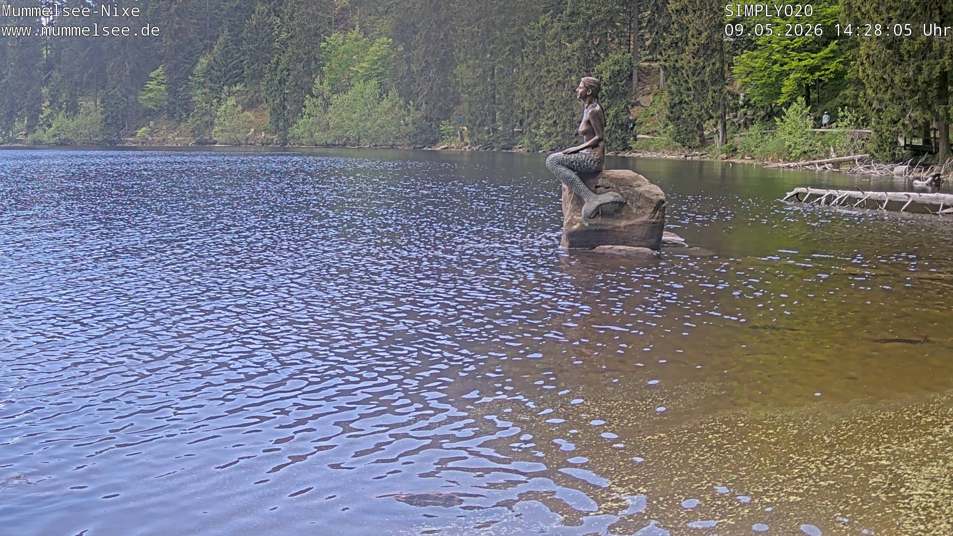 Archiv Foto Webcam Ufer Mummelsee