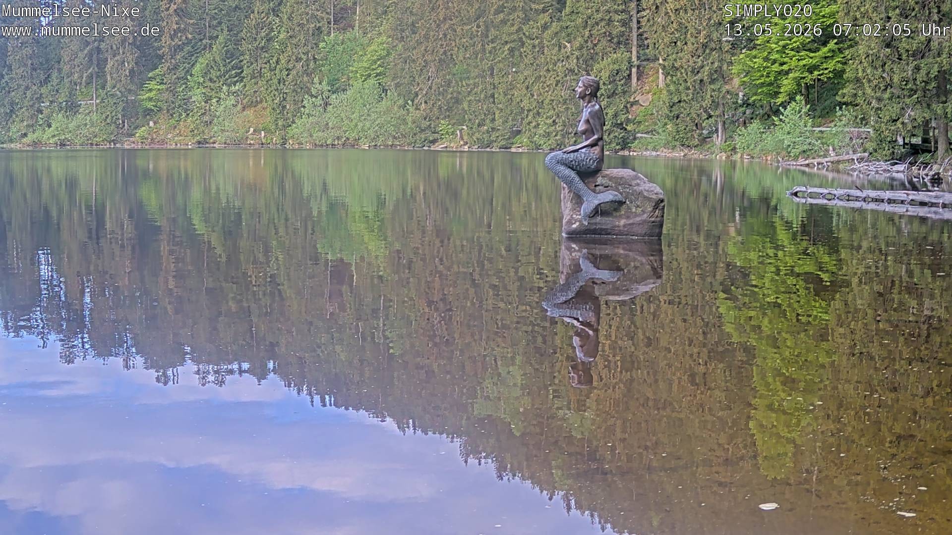 Archiv Foto Webcam Ufer Mummelsee