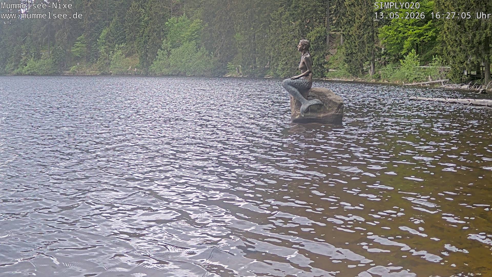Archiv Foto Webcam Ufer Mummelsee