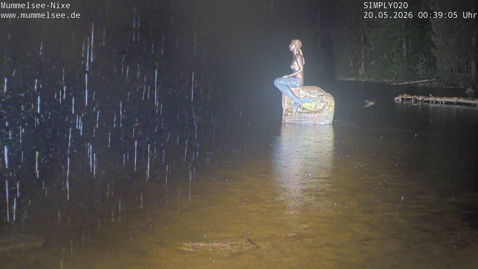 Archiv Foto Webcam Ufer Mummelsee