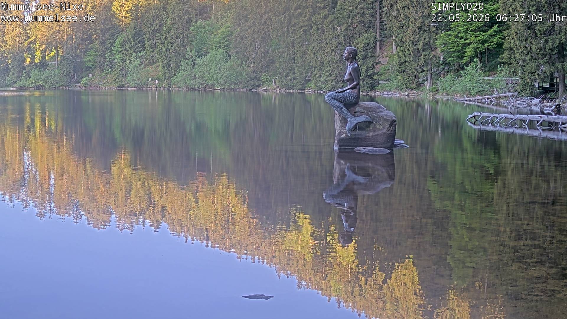 Archiv Foto Webcam Ufer Mummelsee