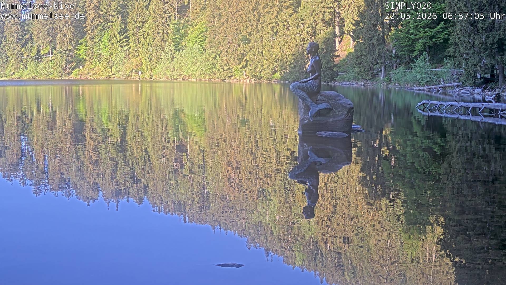 Archiv Foto Webcam Ufer Mummelsee