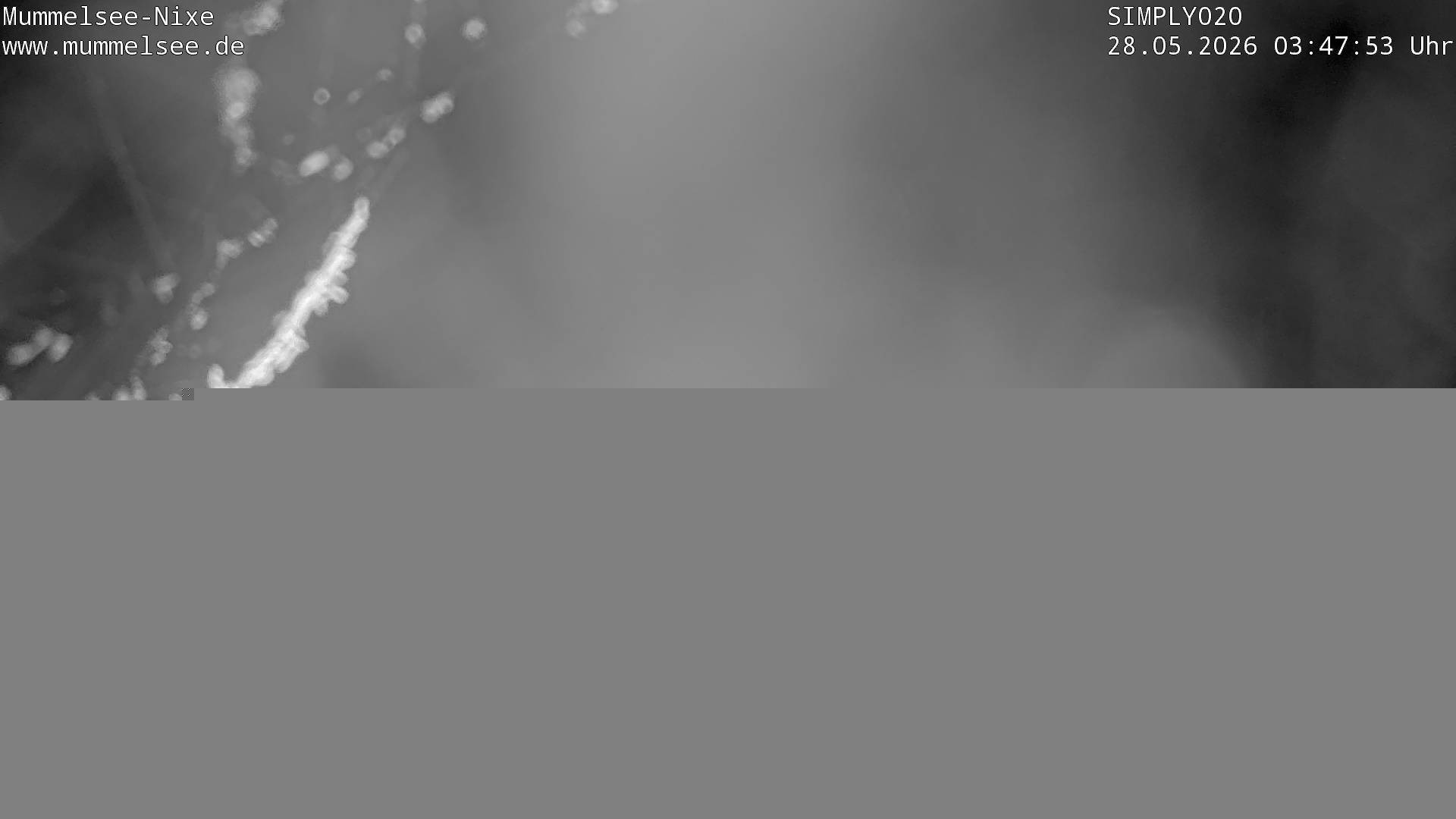 Archiv Foto Webcam Ufer Mummelsee