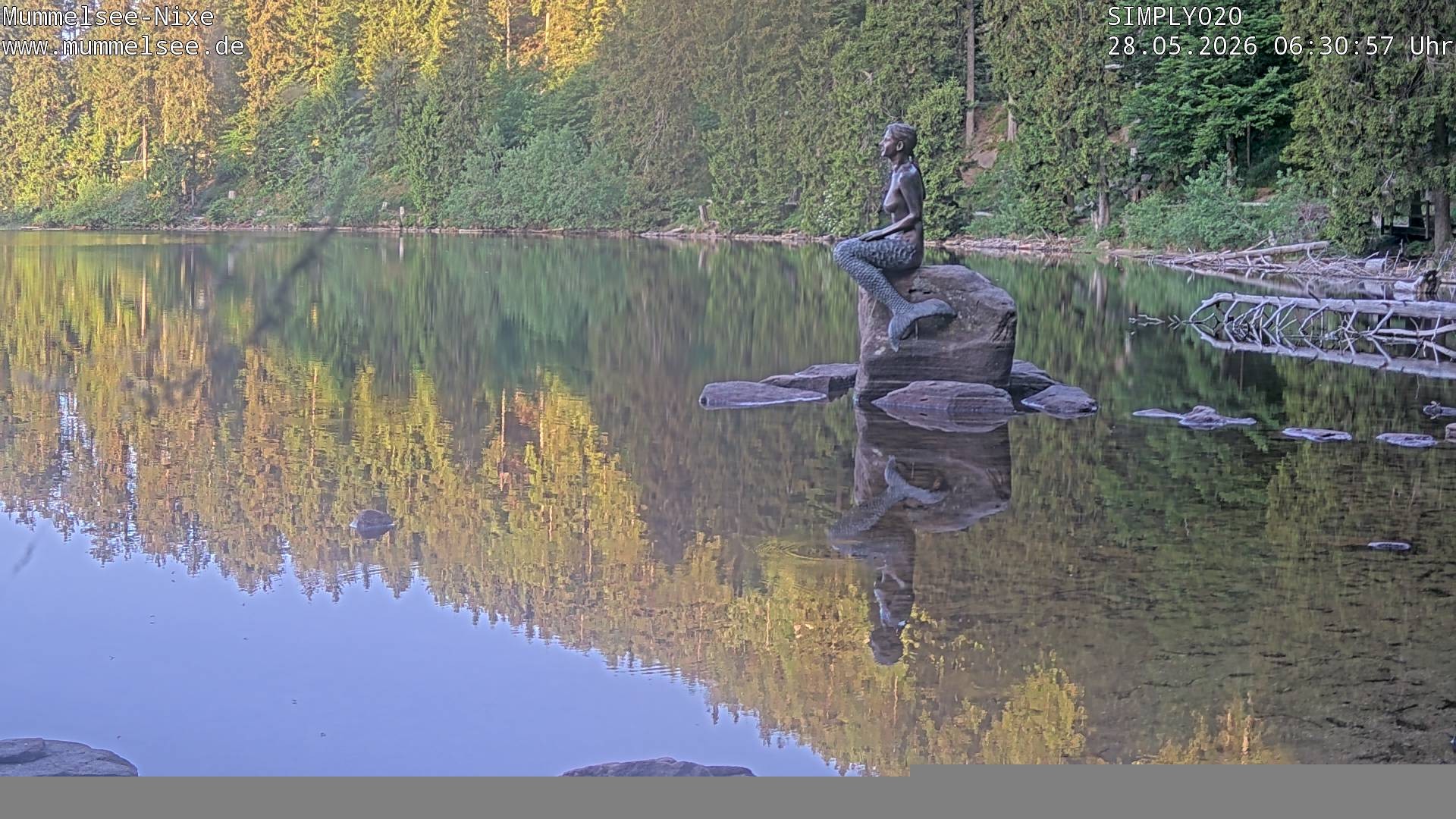 Archiv Foto Webcam Ufer Mummelsee