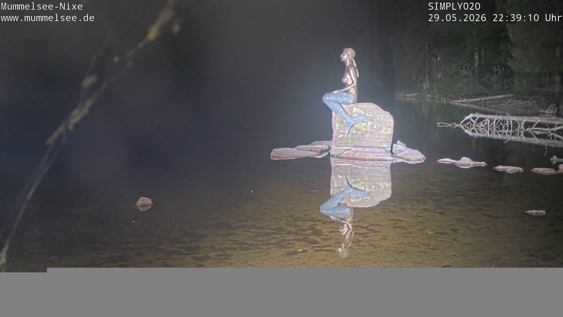 Archived image Webcam Lake Mummelsee - Black Forest