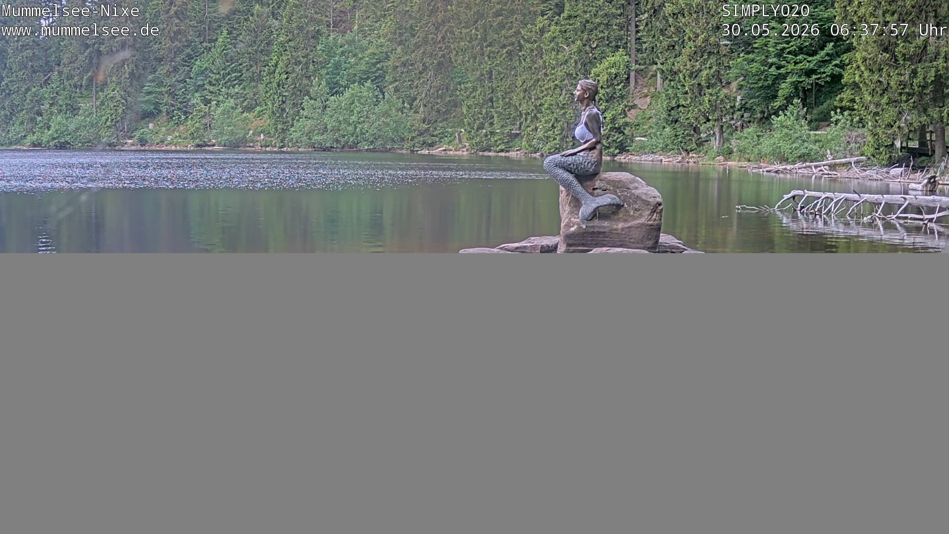 Archived image Webcam Lake Mummelsee - Black Forest