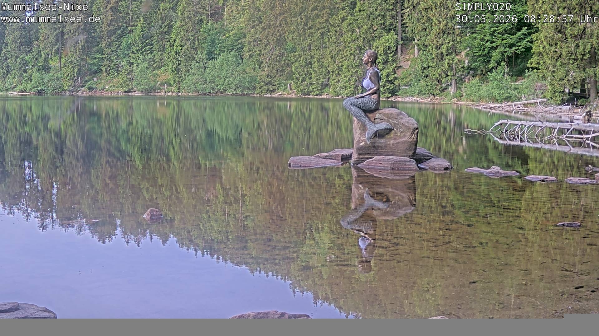 Archived image Webcam Lake Mummelsee - Black Forest