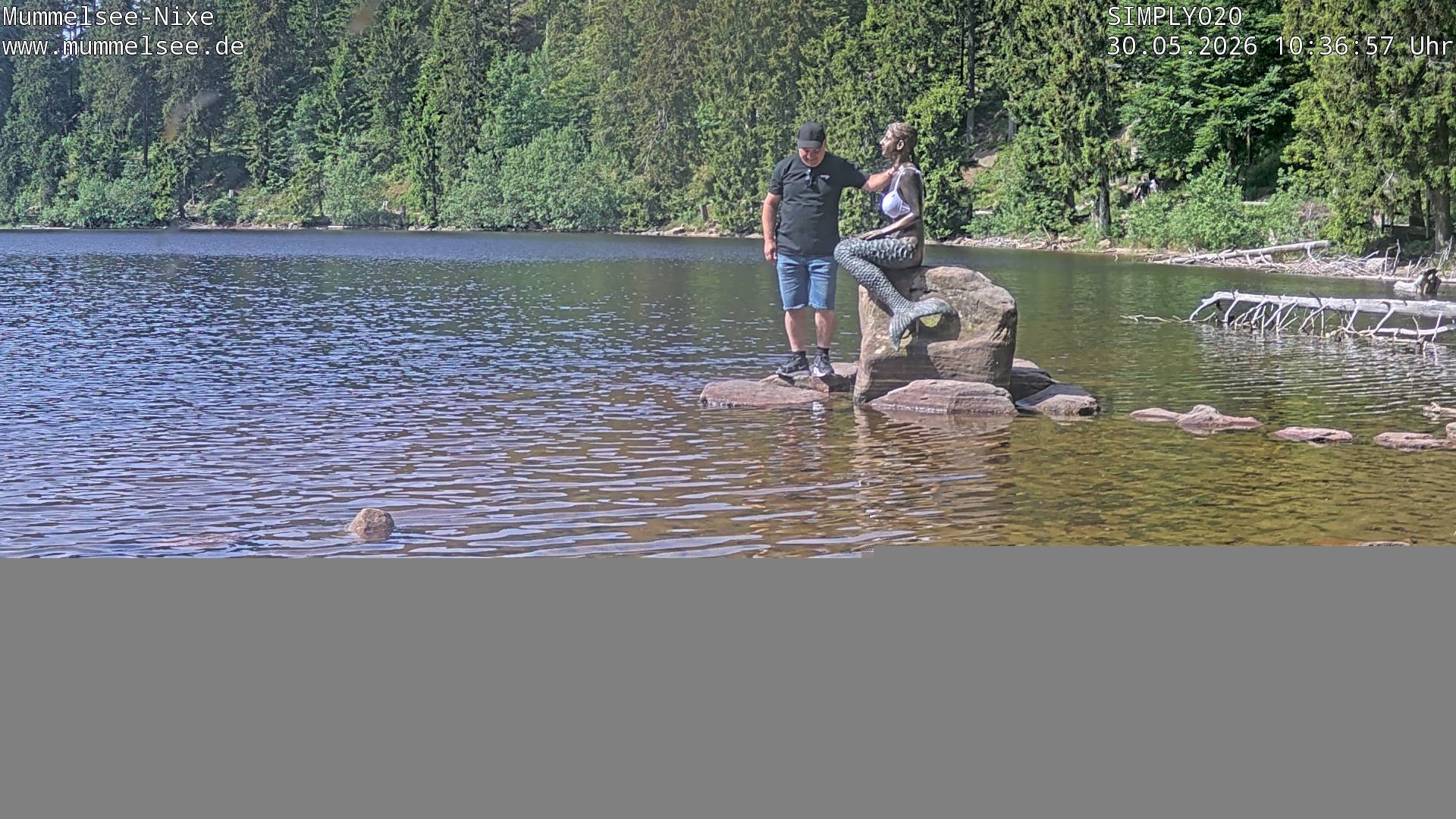 Archived image Webcam Lake Mummelsee - Black Forest