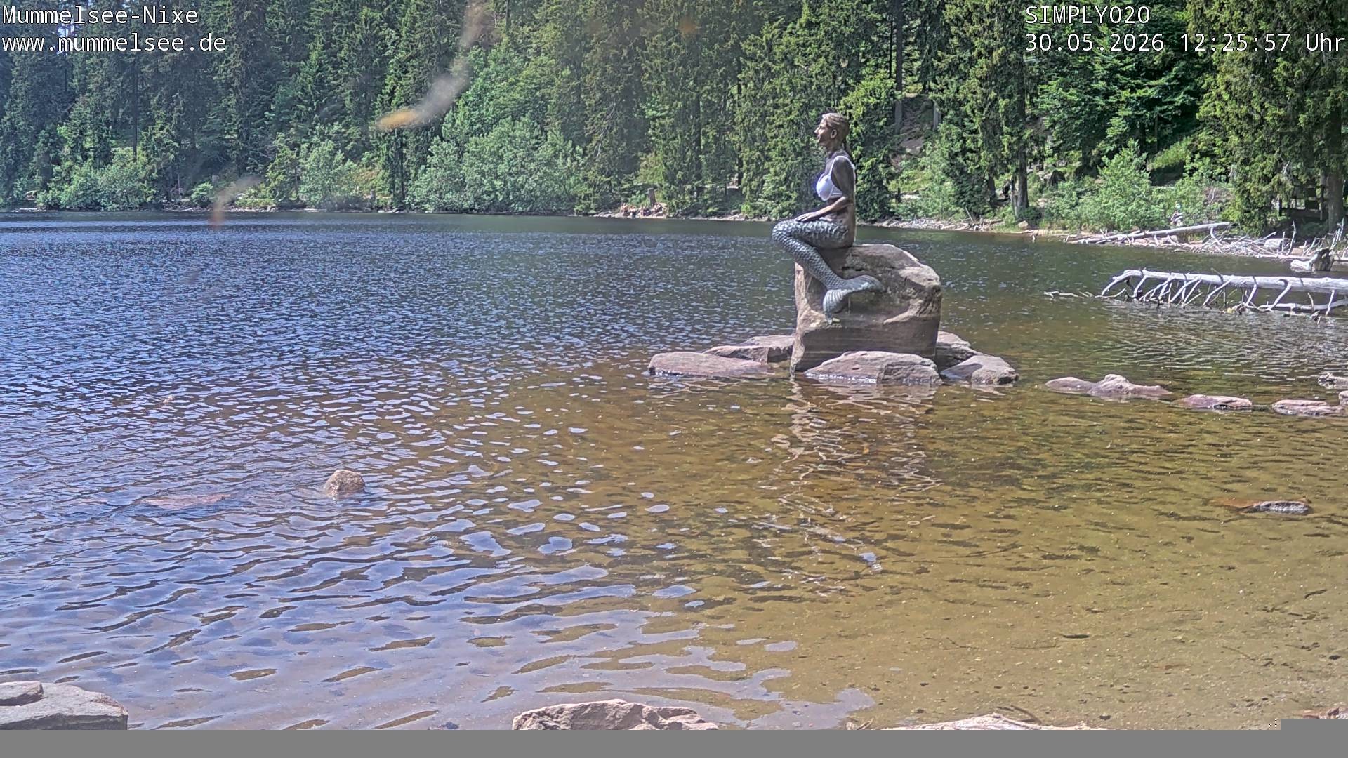 Archived image Webcam Lake Mummelsee - Black Forest