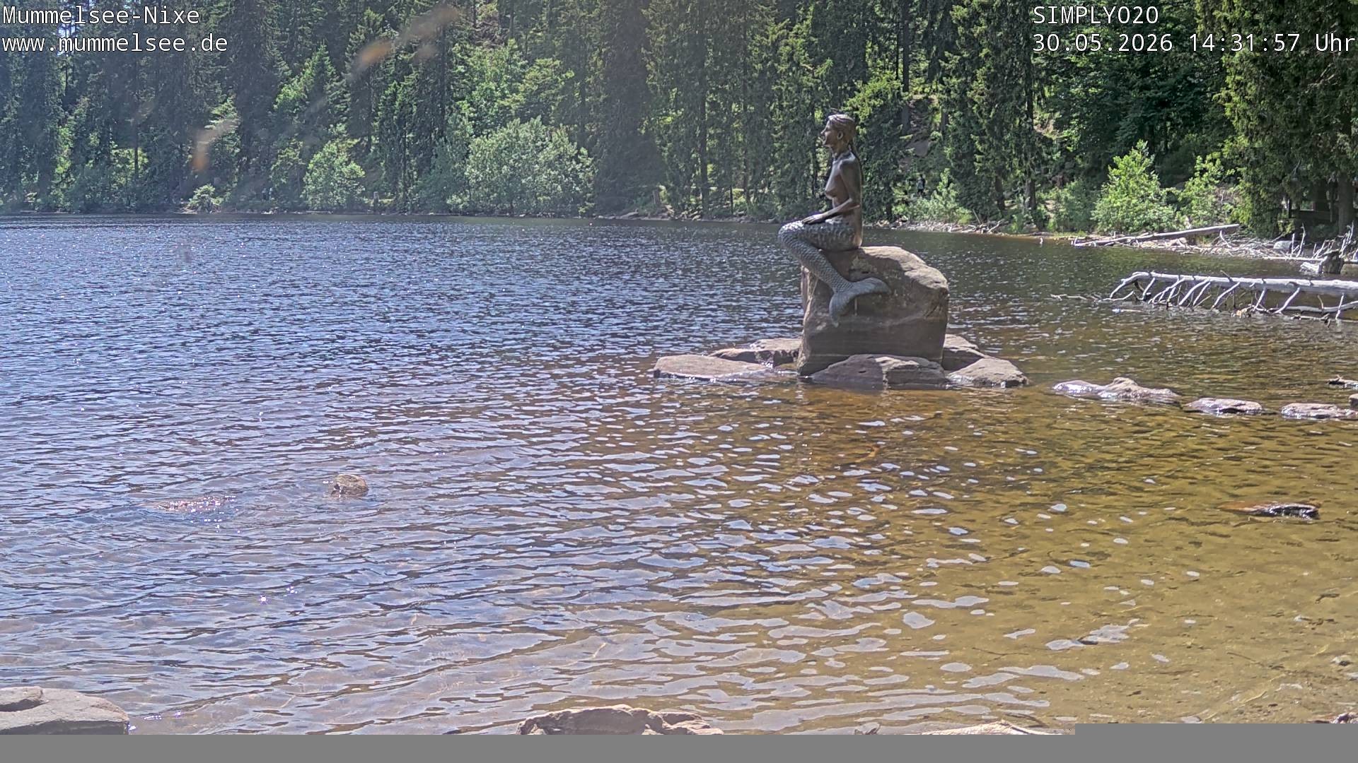 Archived image Webcam Lake Mummelsee - Black Forest