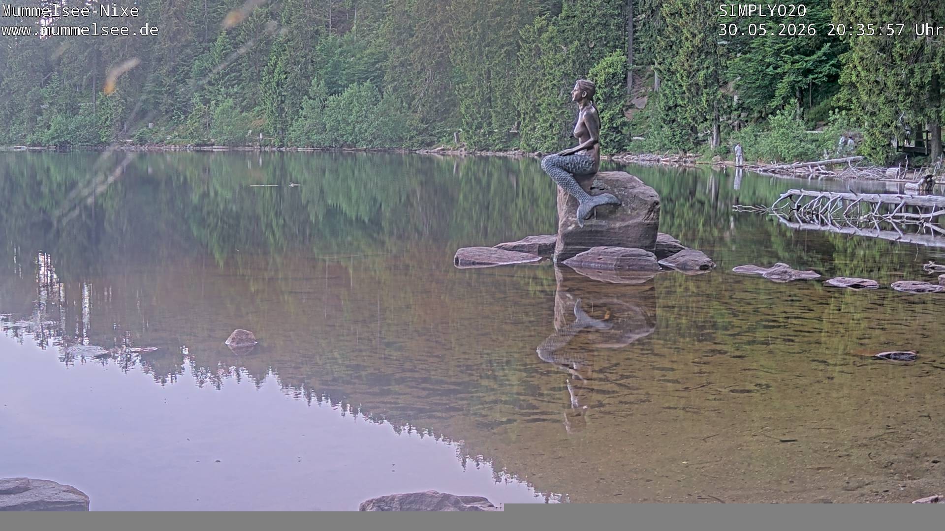 Archived image Webcam Lake Mummelsee - Black Forest