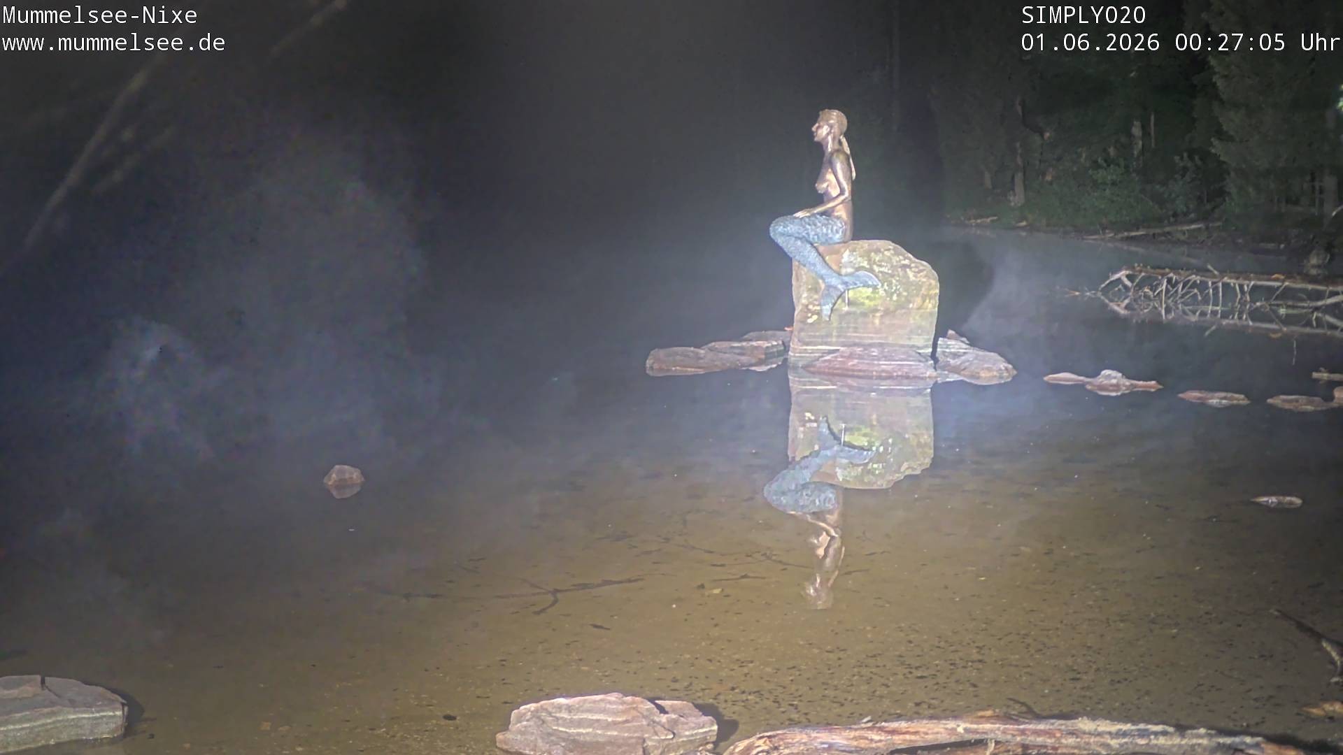 Archiv Foto Webcam Ufer Mummelsee