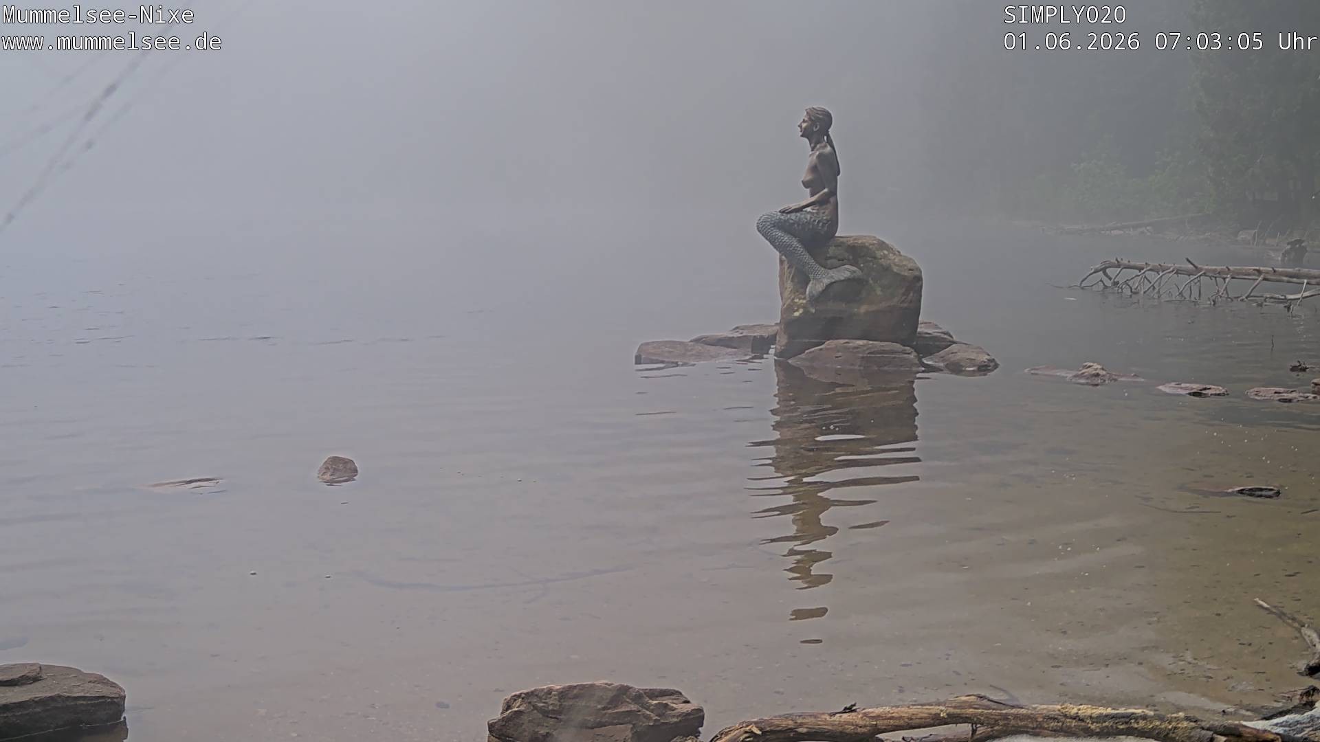 Archiv Foto Webcam Ufer Mummelsee