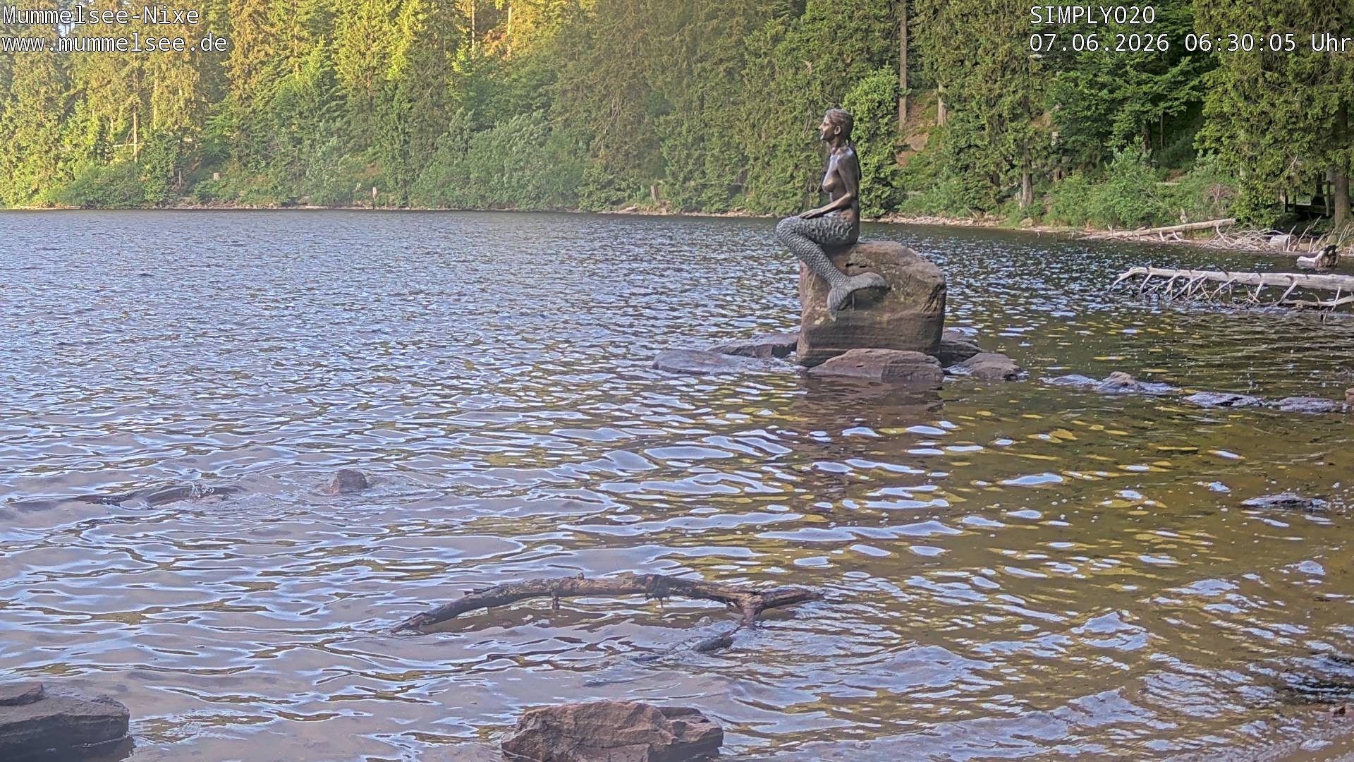 Archiv Foto Webcam Ufer Mummelsee