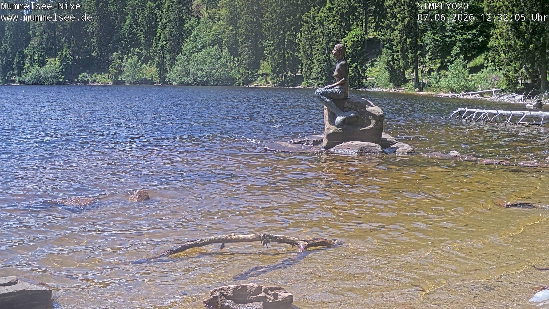 Archiv Foto Webcam Ufer Mummelsee