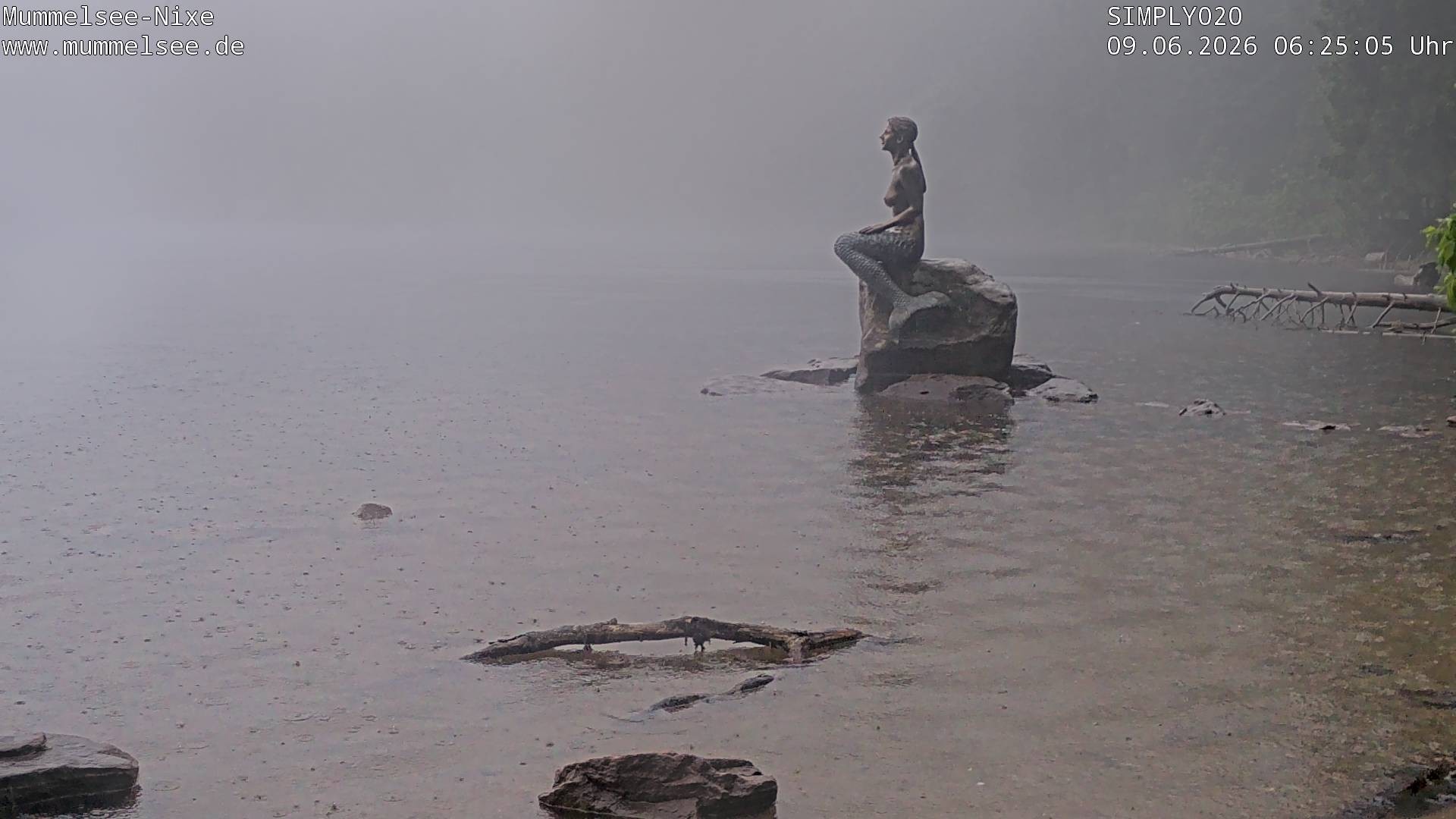 Archiv Foto Webcam Ufer Mummelsee