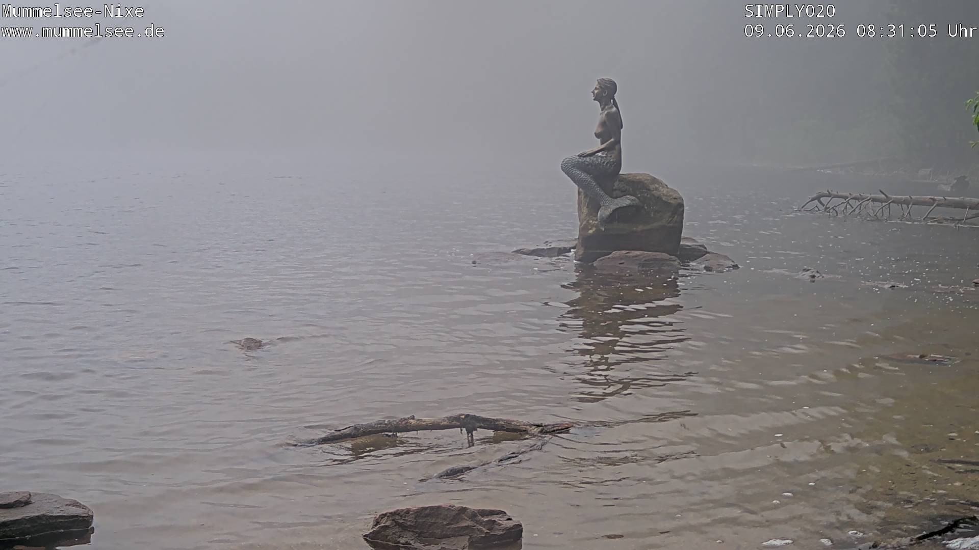 Archiv Foto Webcam Ufer Mummelsee