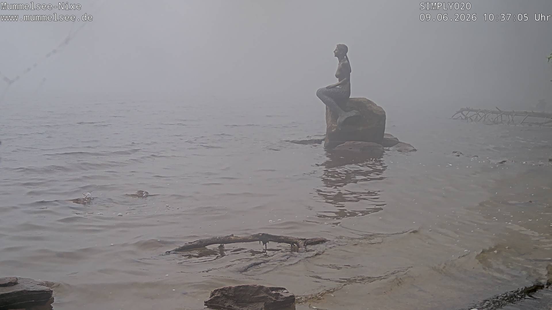 Archiv Foto Webcam Ufer Mummelsee